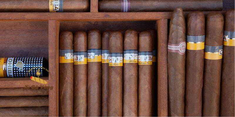 Quà biếu xì gà Cuba phù hợp không gian trang trọng.